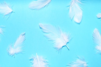 Photo of Beautiful feathers on light blue background, flat lay