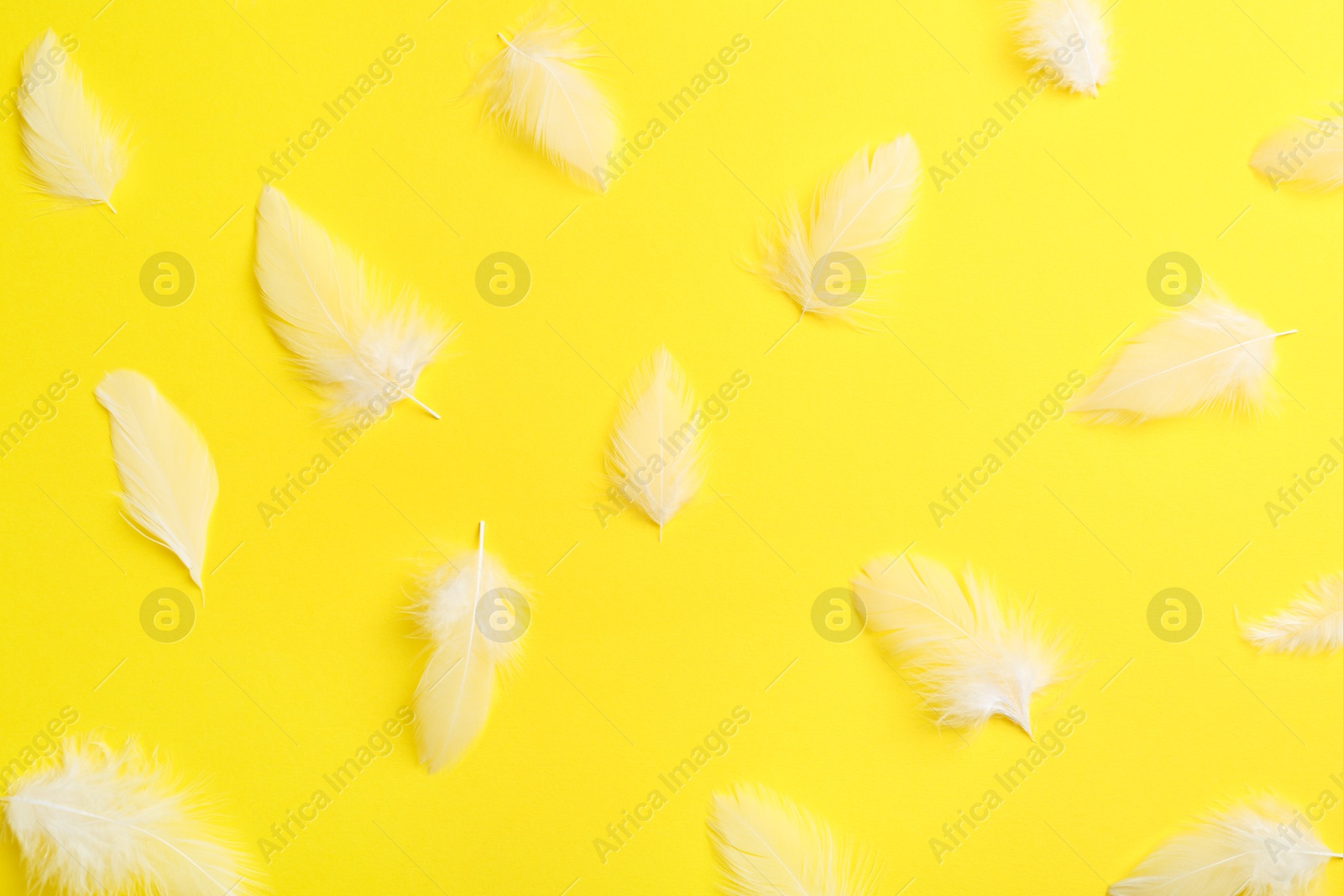 Photo of Many beautiful feathers on yellow background, flat lay