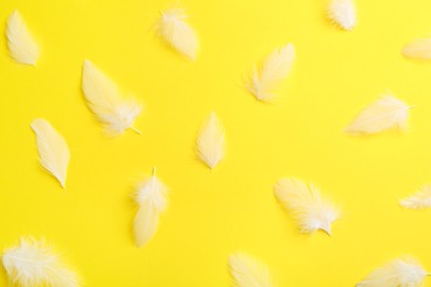 Photo of Many beautiful feathers on yellow background, flat lay