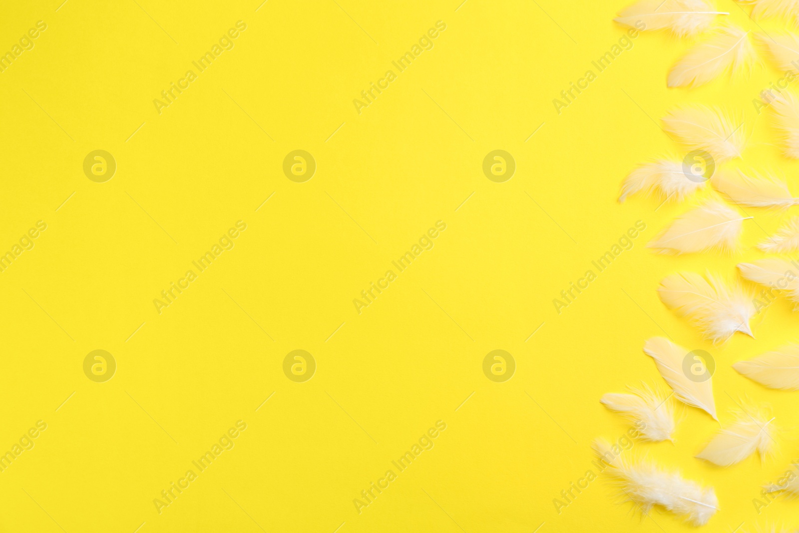 Photo of Many beautiful feathers on yellow background, flat lay. Space for text