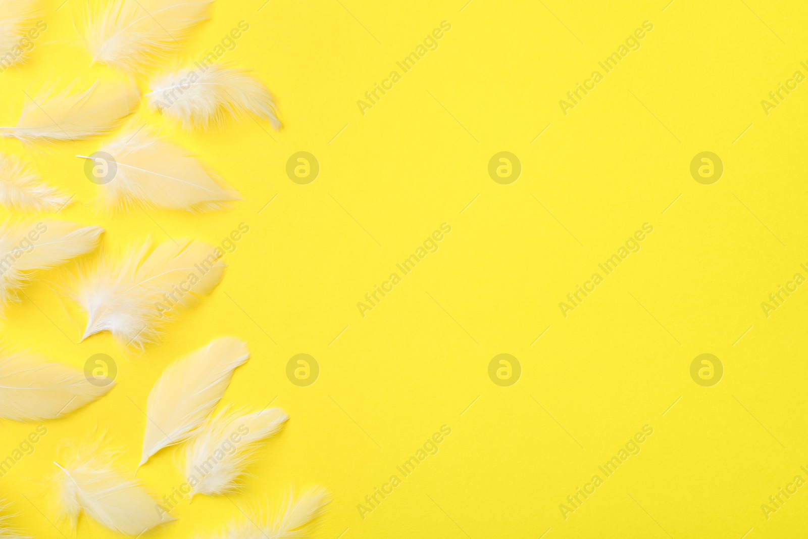 Photo of Many beautiful feathers on yellow background, flat lay. Space for text