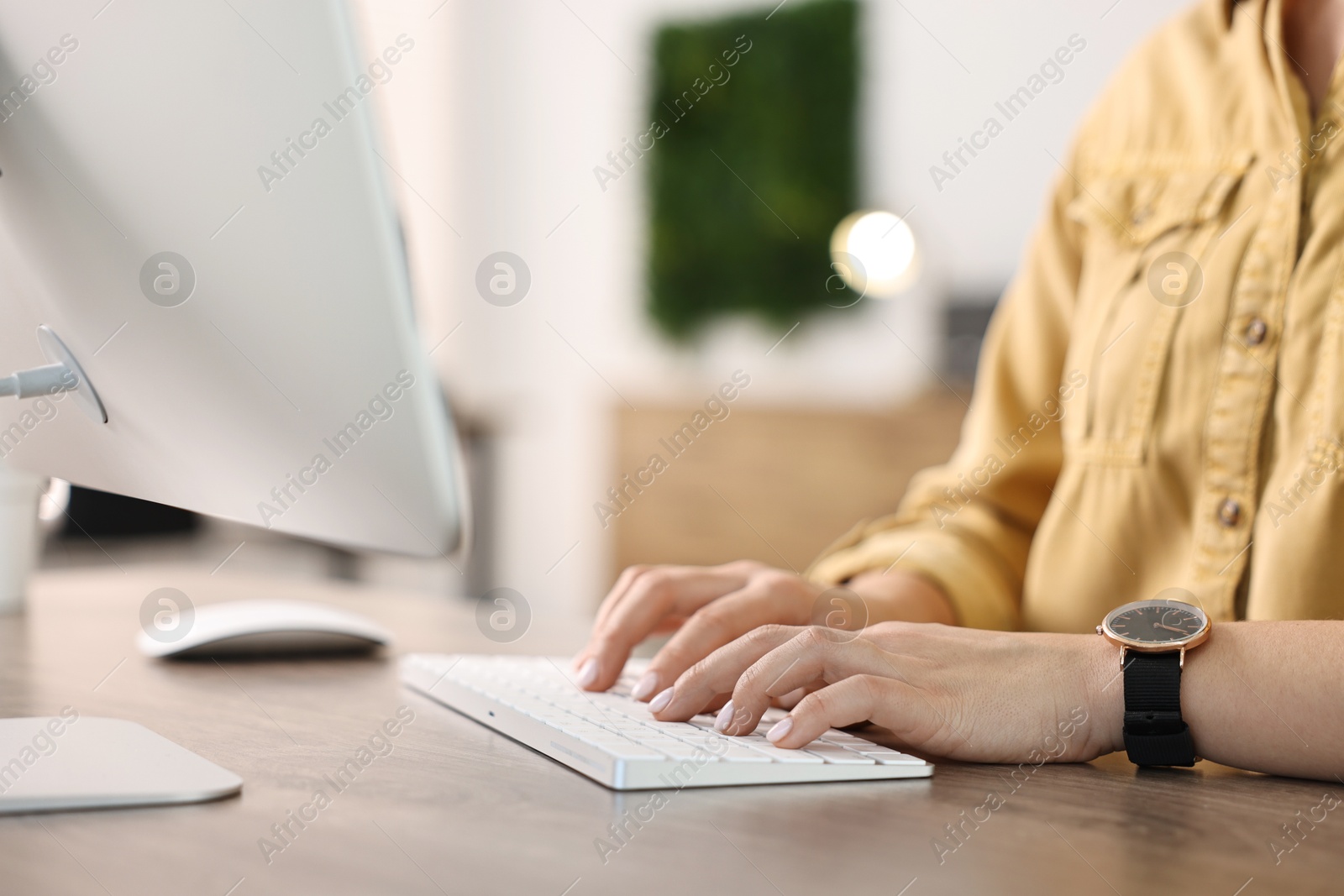 Photo of Woman working on computer at table in office, closeup