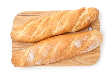 Photo of Freshly baked baguettes isolated on white, top view