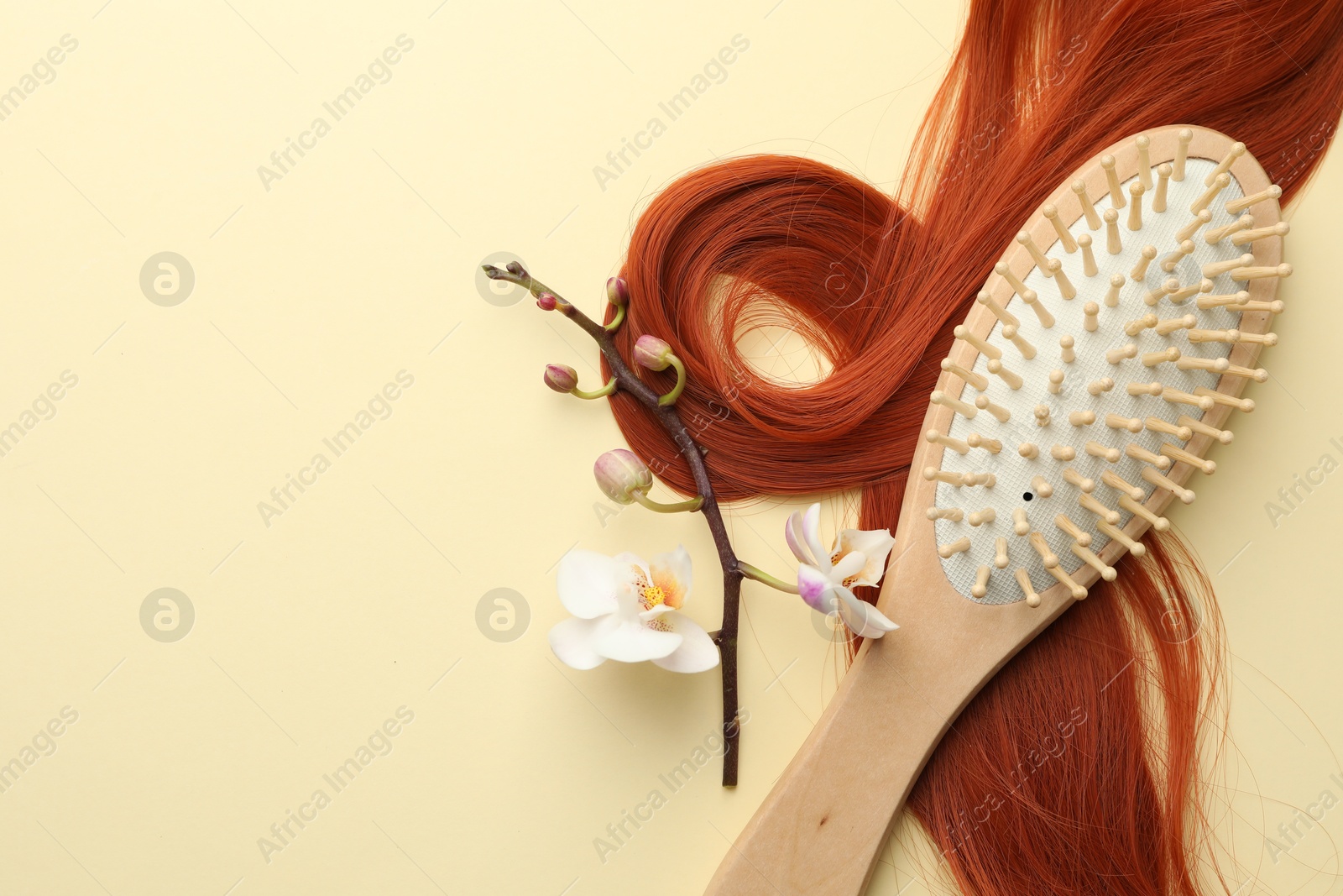 Photo of Wooden brush, orchid branch and lock of hair on beige background, flat lay. Space for text