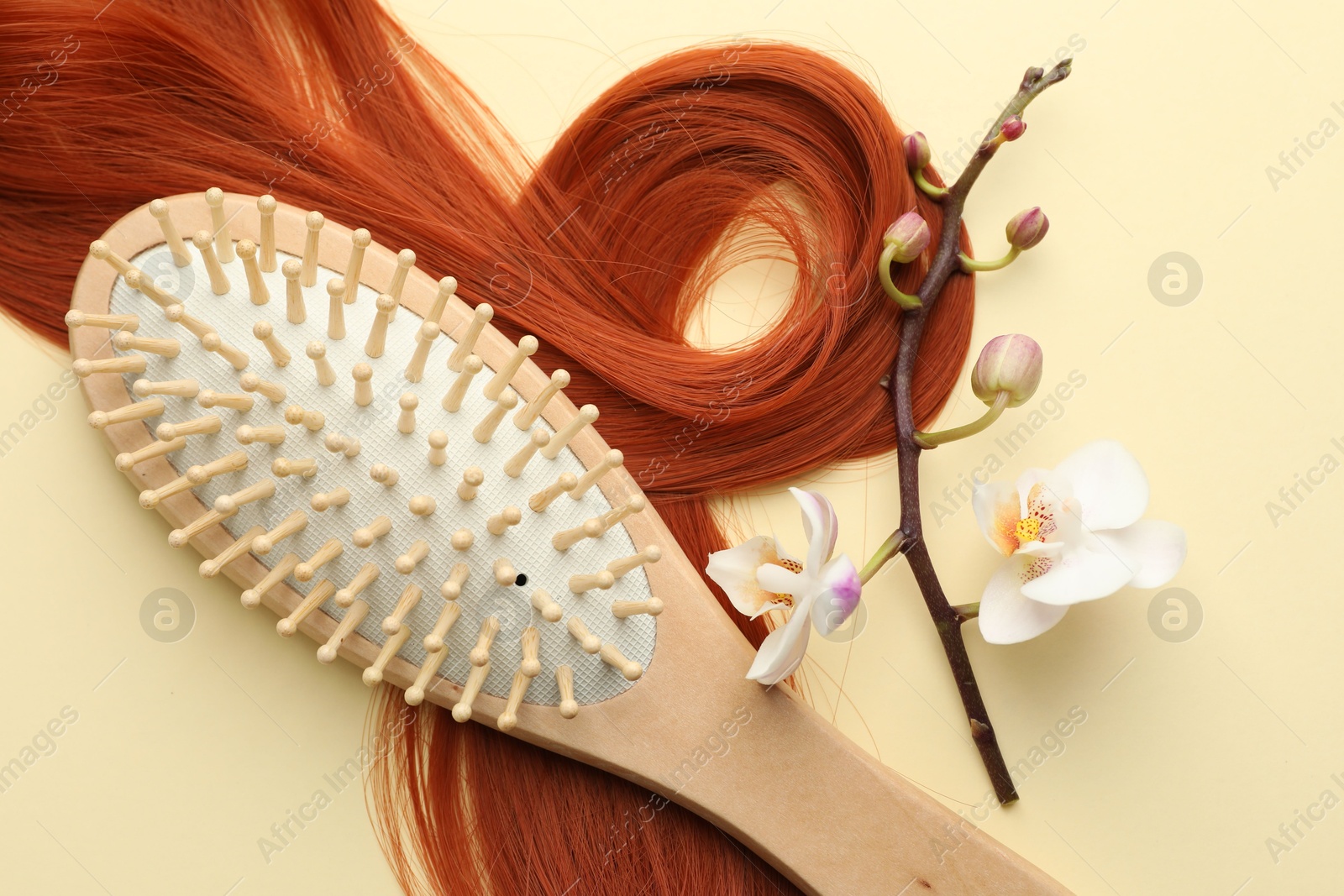 Photo of Wooden brush, orchid branch and lock of hair on beige background, flat lay