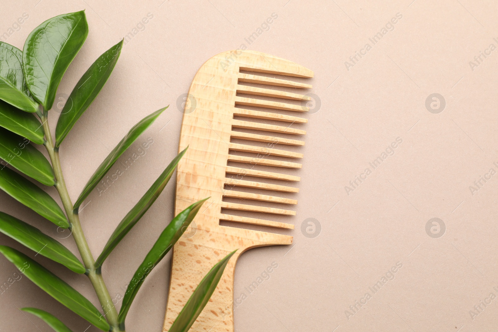 Photo of Wooden comb and branch with leaves on beige background, flat lay. Space for text