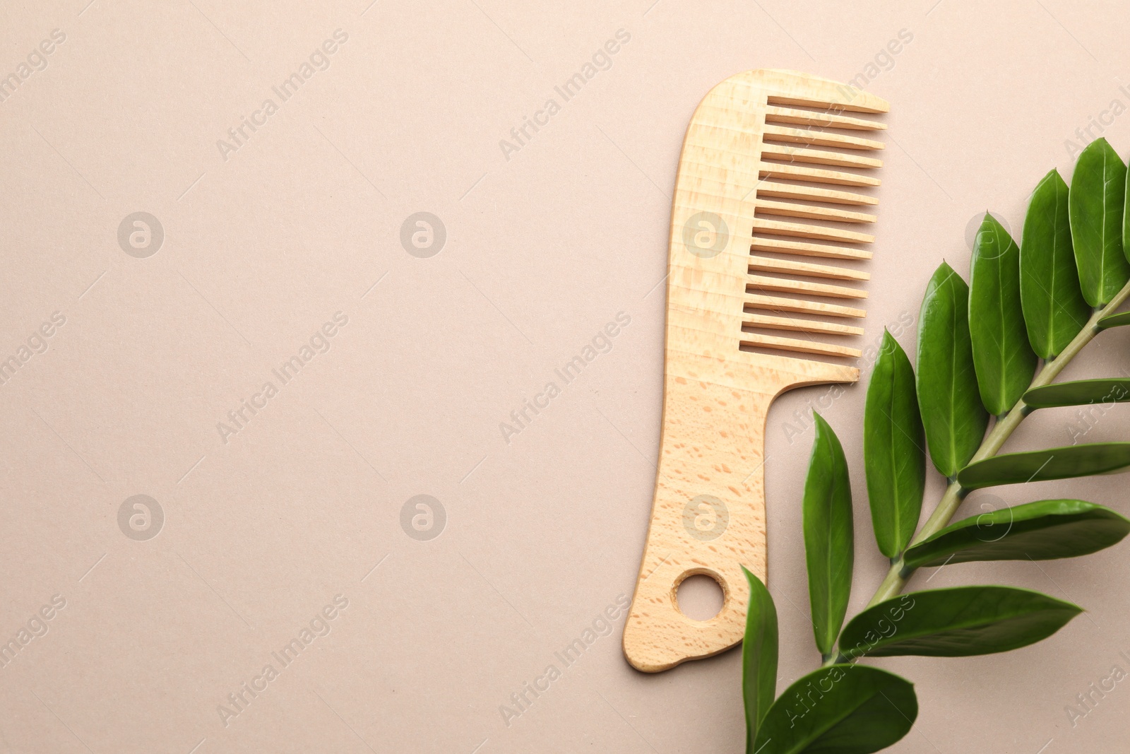 Photo of Wooden comb and branch with leaves on beige background, flat lay. Space for text