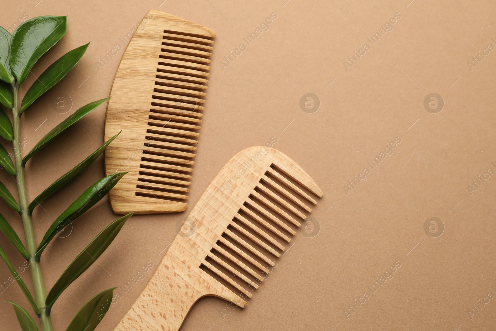 Photo of Wooden combs and branch with leaves on beige background, flat lay. Space for text