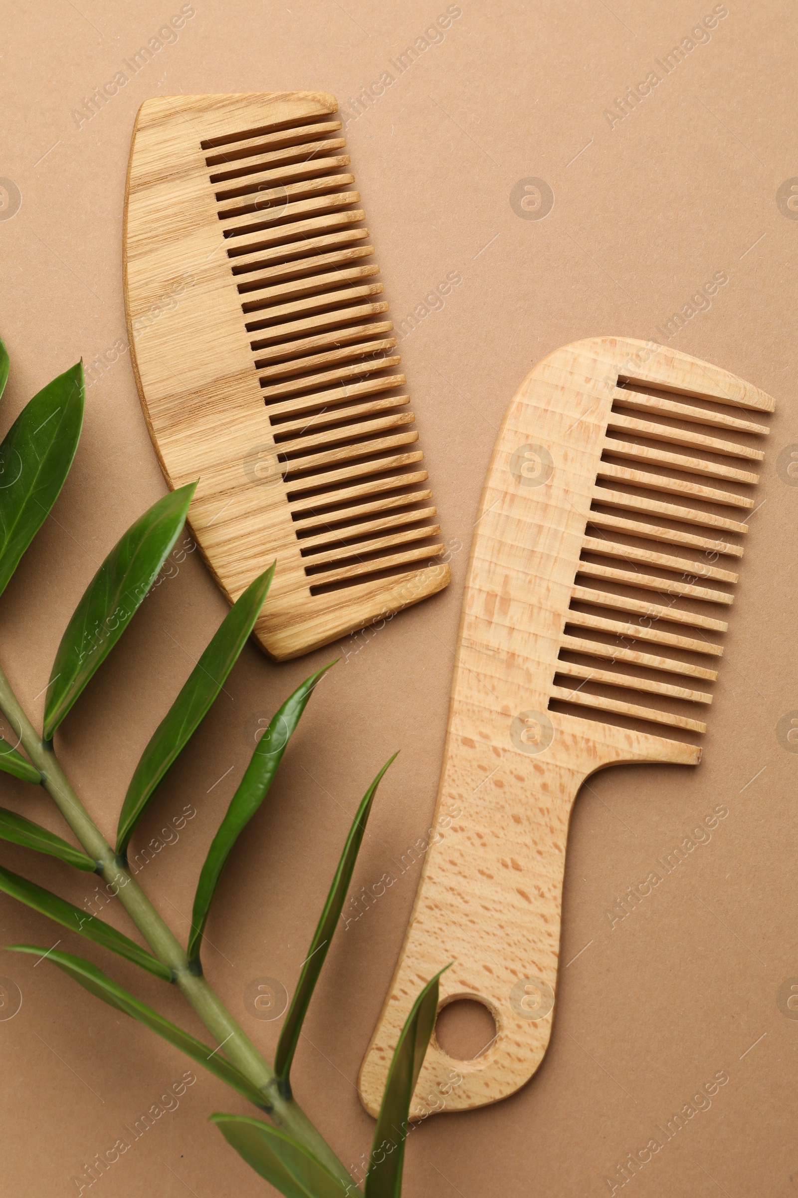 Photo of Wooden combs and branch with leaves on beige background, flat lay