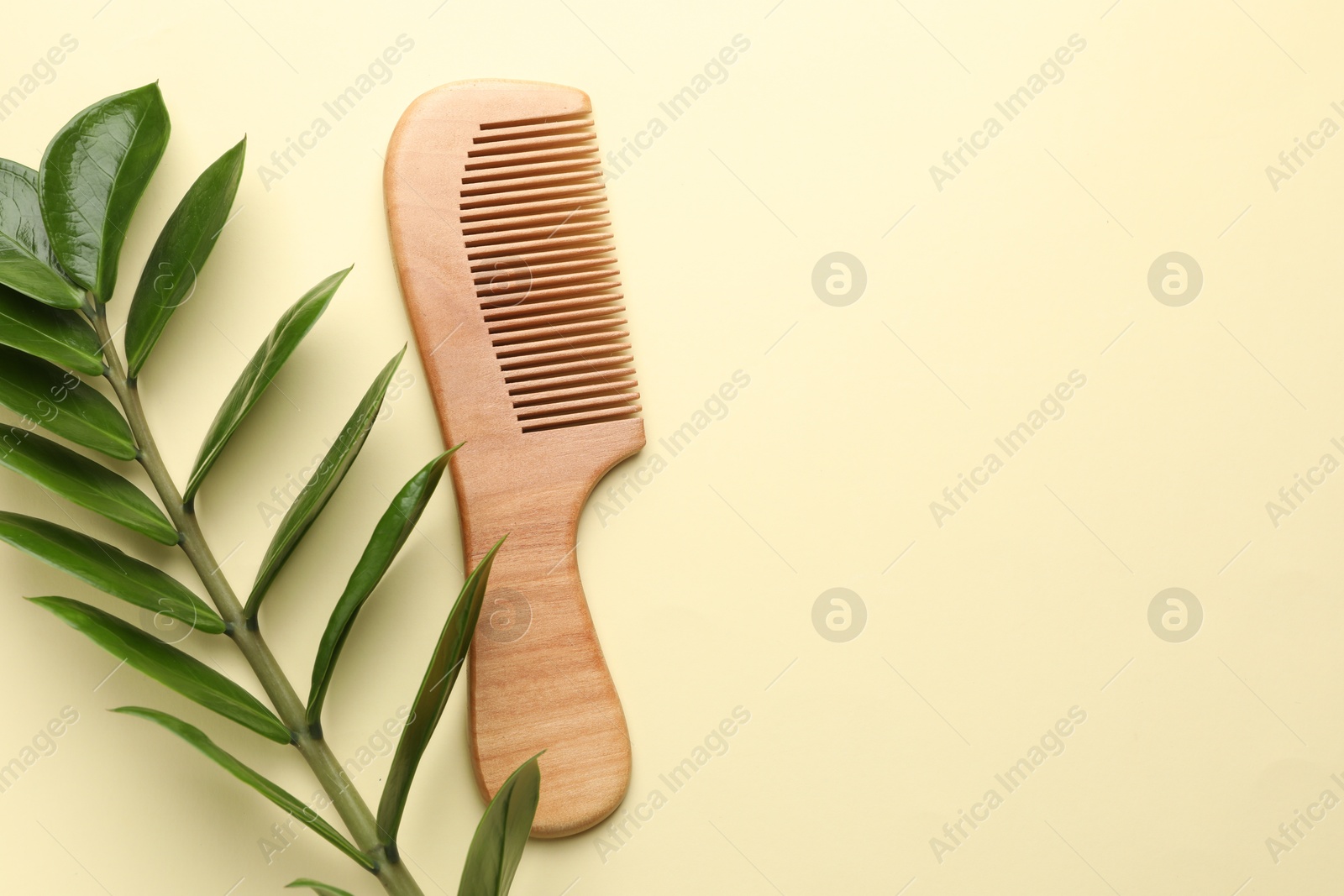 Photo of Wooden comb and branch with leaves on beige background, flat lay. Space for text