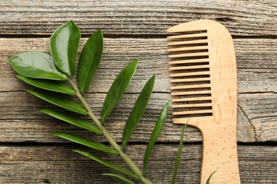 Photo of Comb and branch with leaves on wooden table, flat lay