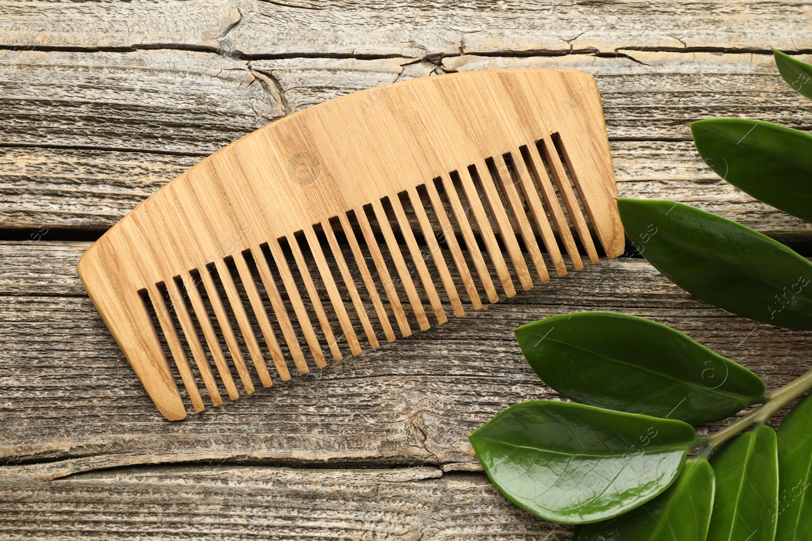 Photo of Comb and branch with leaves on wooden table, flat lay