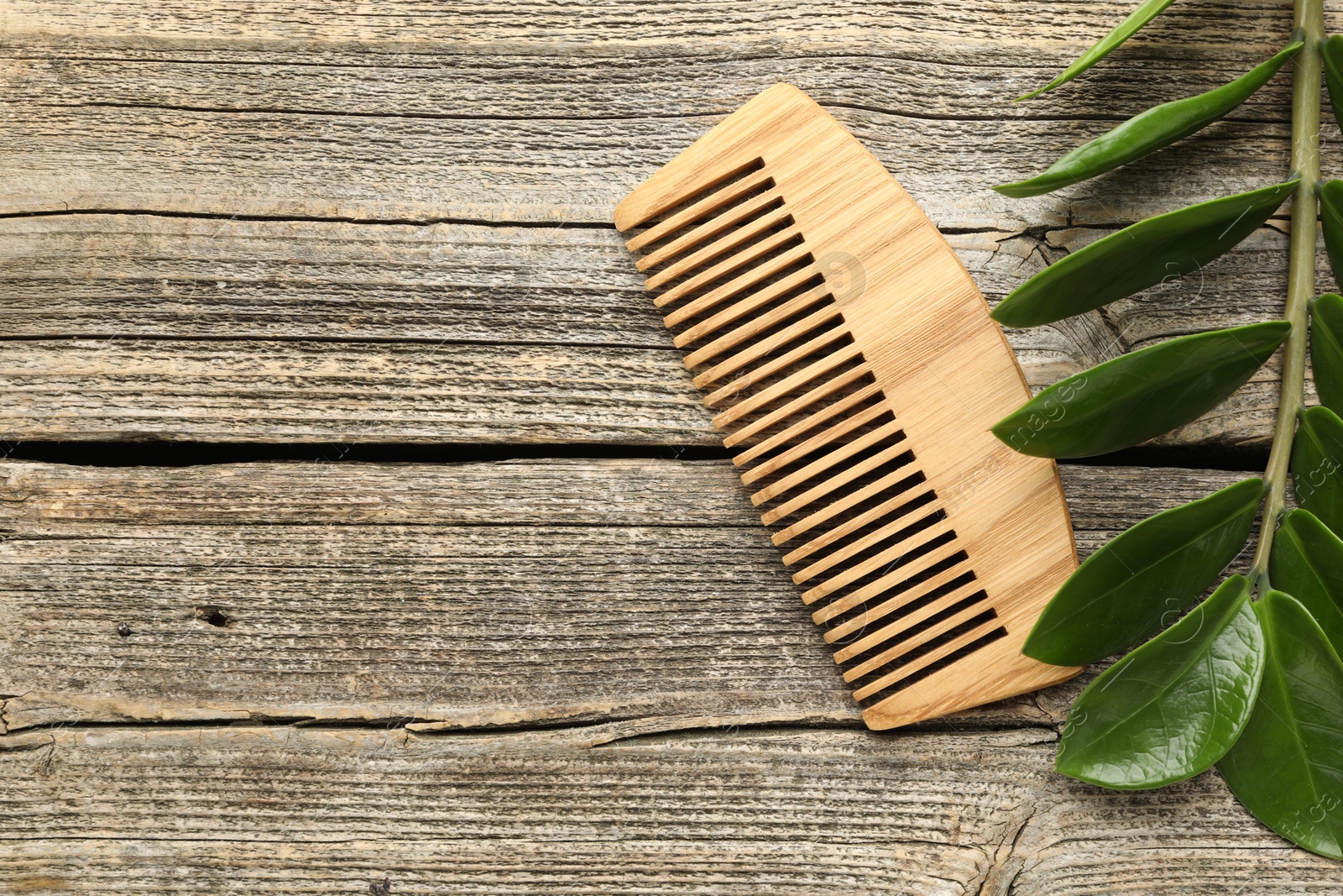 Photo of Comb and branch with leaves on wooden table, flat lay. Space for text