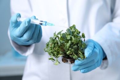 Photo of GMO concept. Scientist injecting liquid into microgreens in laboratory, closeup