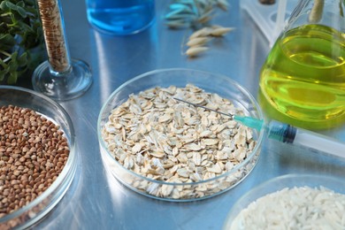 Photo of GMO concept. Different raw grains in Petri dishes, microgreens, syringe and other equipment on table in laboratory, closeup