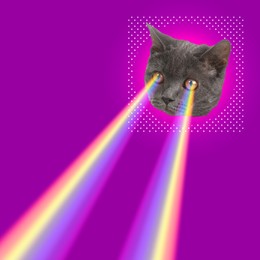 Image of Rainbow lasers shooting from cat's eyes on purple background. Stylish poster