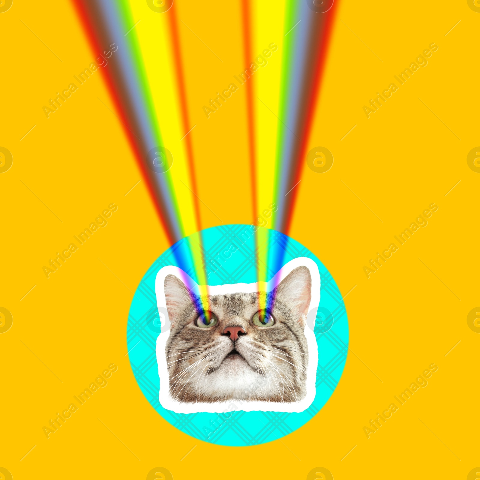 Image of Cat shooting with rainbow lasers from eyes on orange background, creative collage. Stylish poster