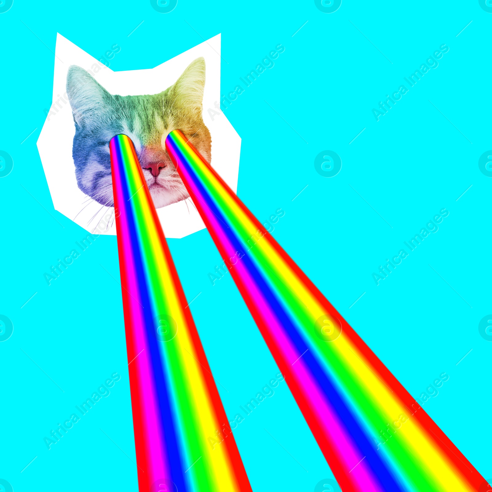 Image of Cat shooting with rainbow lasers from eyes on cyan color background, creative collage. Stylish poster