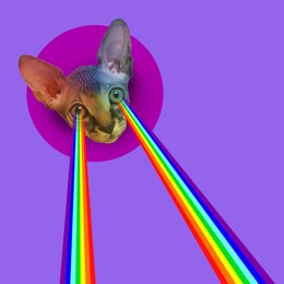 Image of Cat shooting with rainbow lasers from eyes on dark violet background. Stylish poster