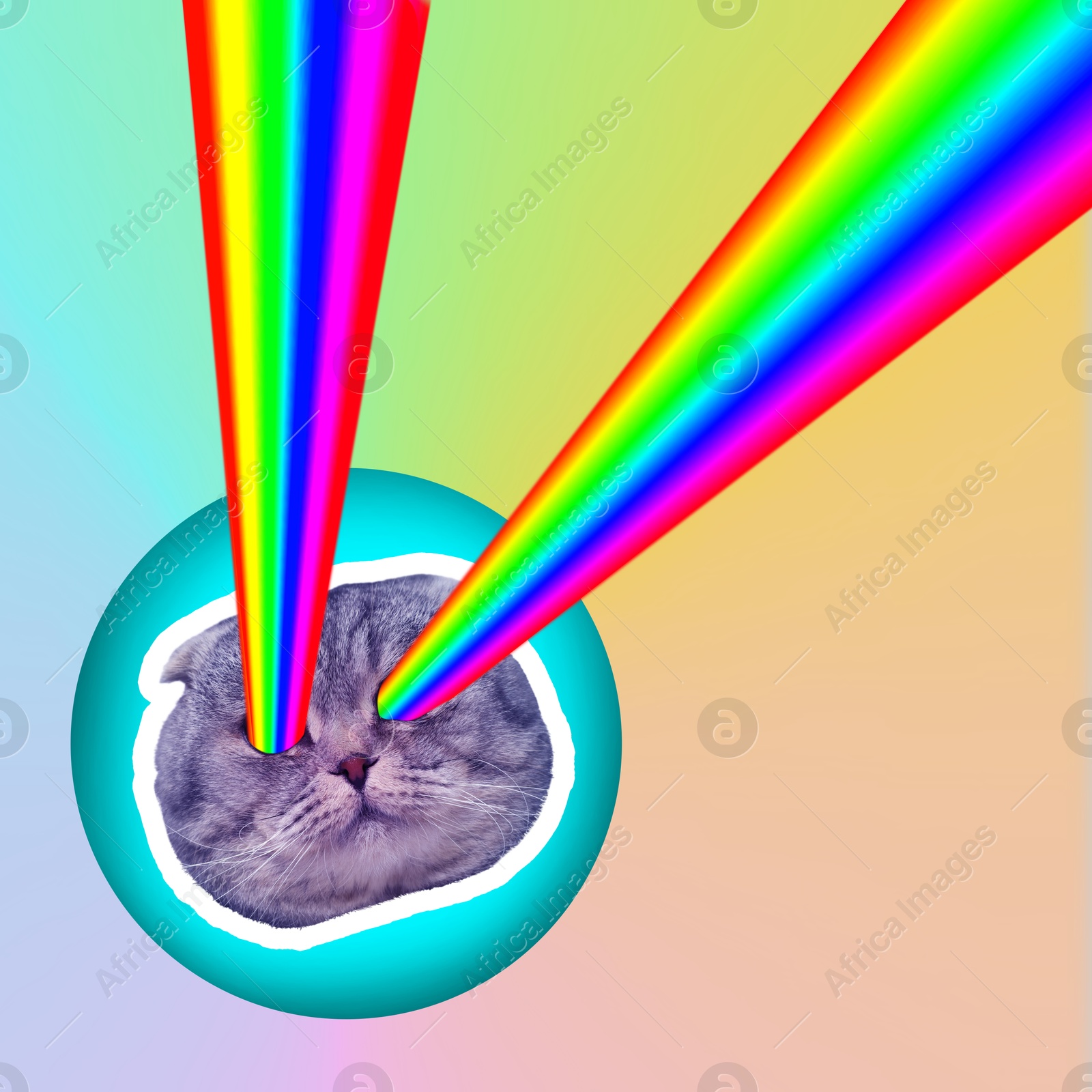 Image of Rainbow lasers shooting from cat's eyes on colorful background, creative collage. Stylish poster