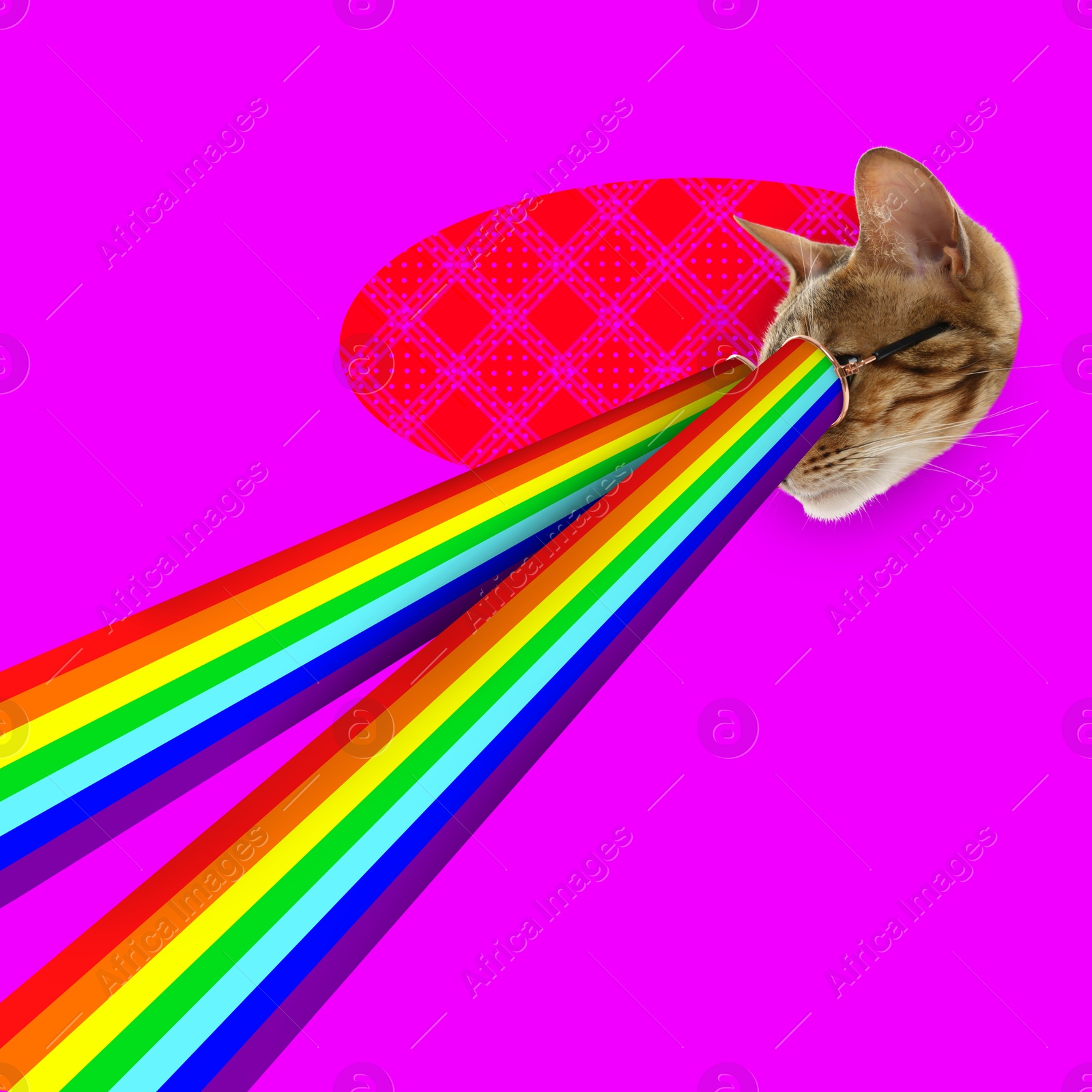 Image of Cat in sunglasses shooting with rainbow lasers from eyes on magenta color background, creative collage. Stylish poster