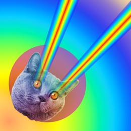 Image of Rainbow lasers shooting from cat's eyes on rainbow background. Stylish poster