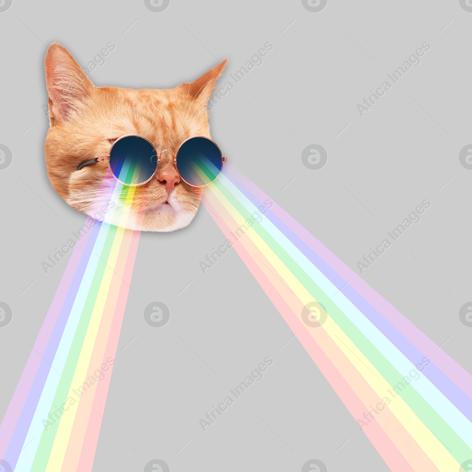 Image of Cat in sunglasses shooting with rainbow lasers from eyes on grey background. Stylish poster