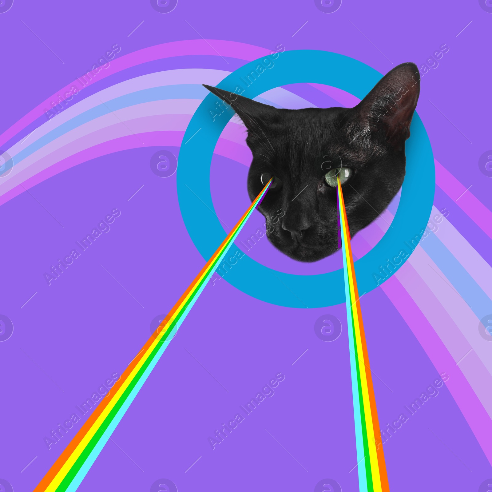 Image of Cat shooting with rainbow lasers from eyes on colorful background, creative collage. Stylish poster