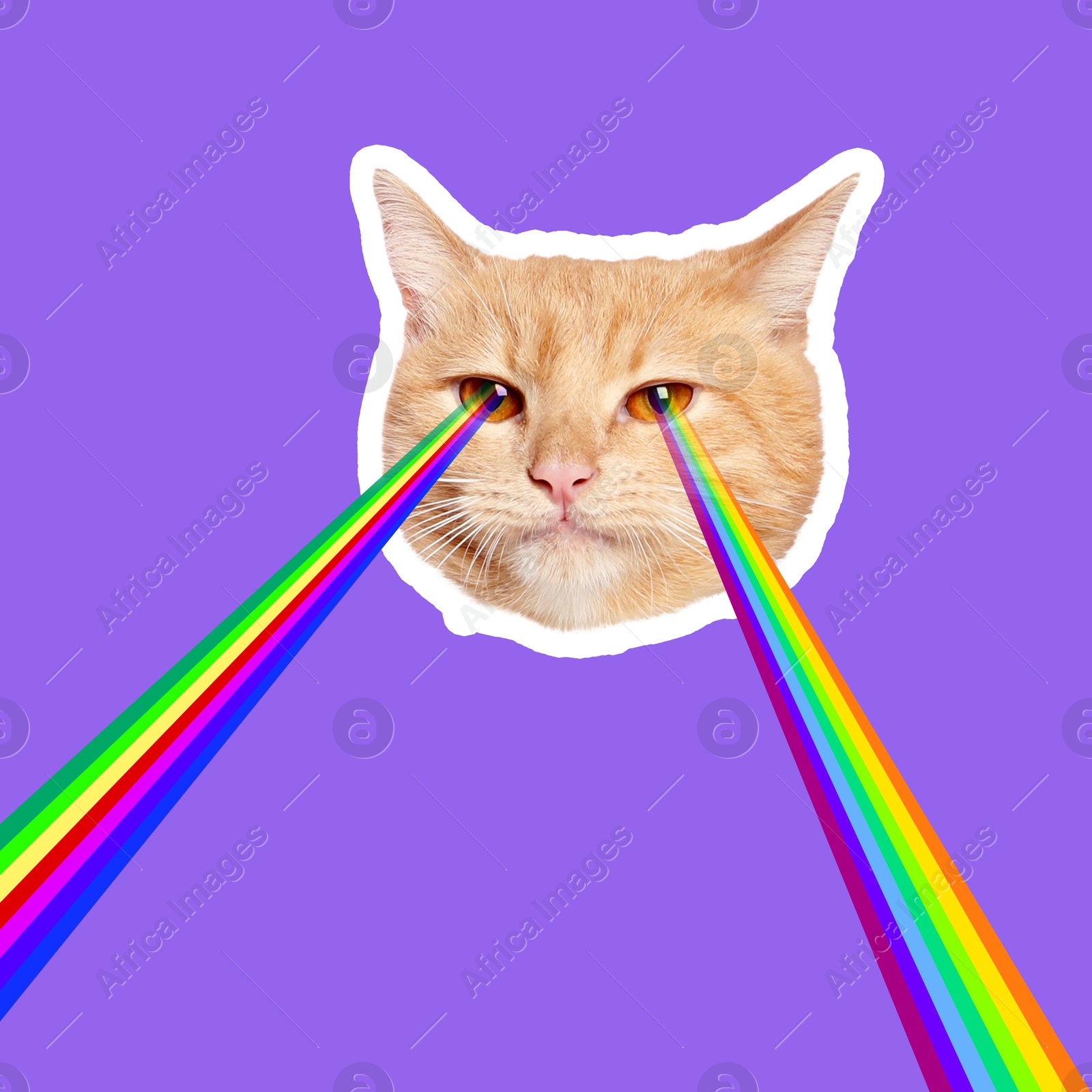 Image of Rainbow lasers shooting from cat's eyes on dark violet background, creative collage. Stylish poster