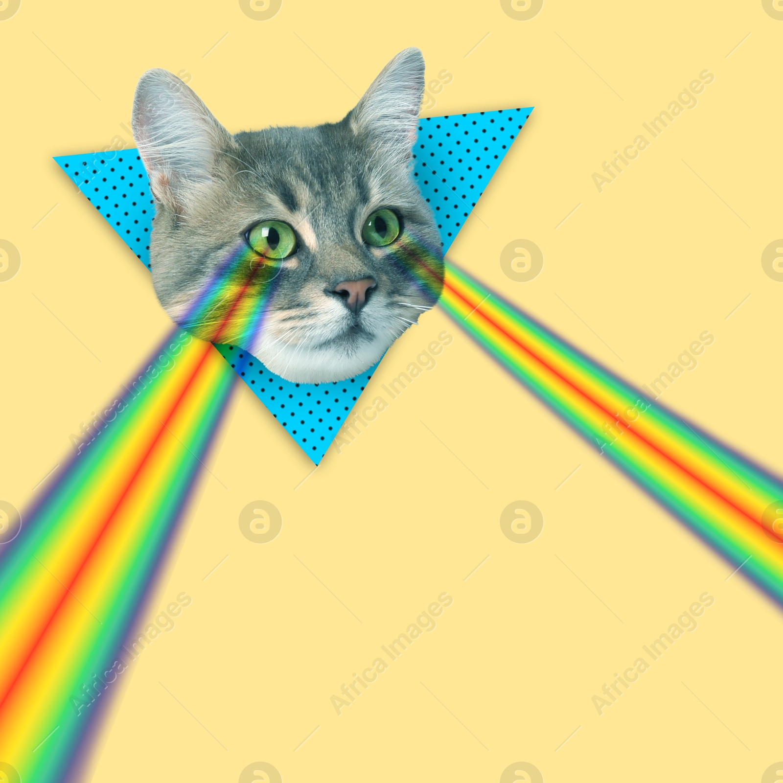 Image of Cat shooting with rainbow lasers from eyes on beige background, creative collage. Stylish poster