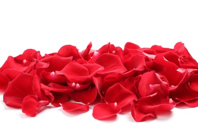 Photo of Pile of red rose petals on white background