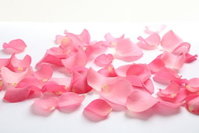 Photo of Fresh pink rose petals on white background