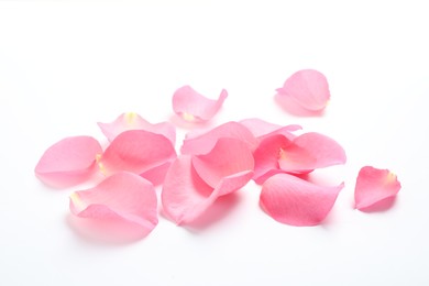 Photo of Fresh pink rose petals on white background