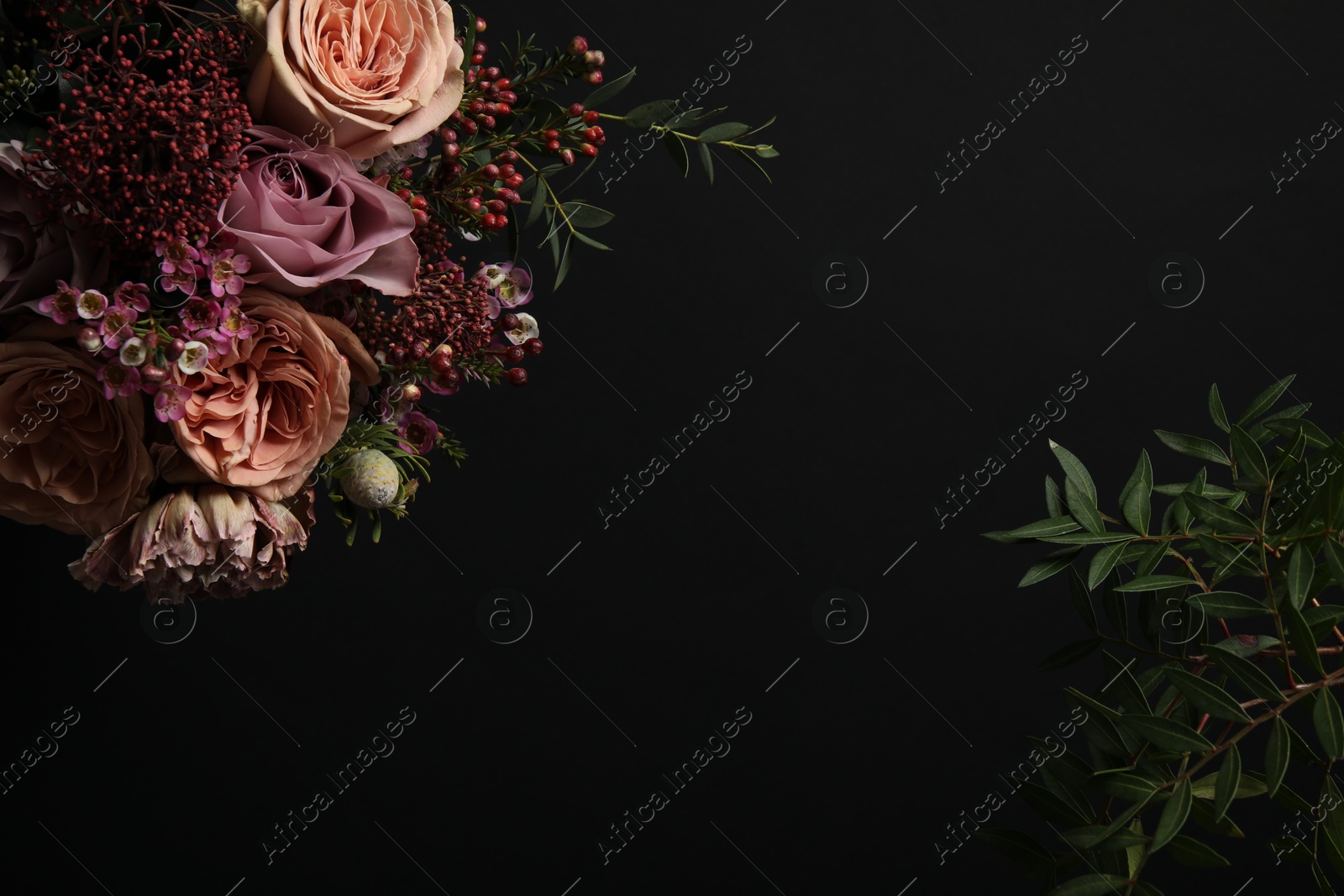 Photo of Beautiful fresh flowers on black background, space for text