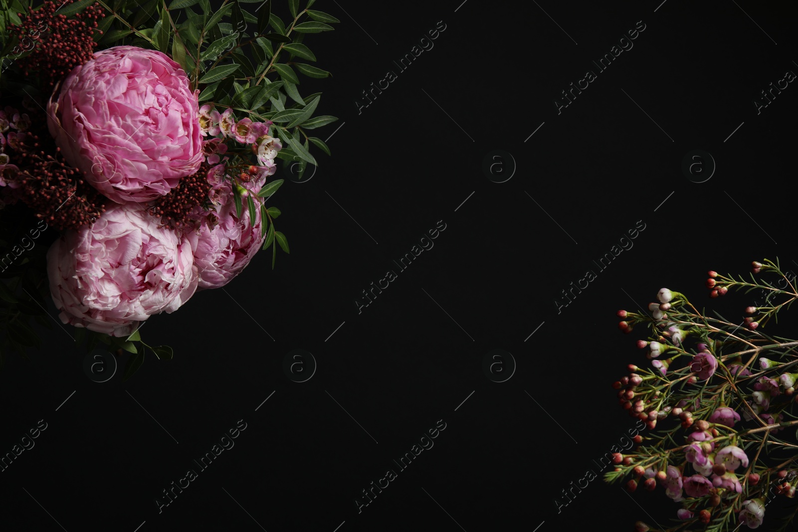 Photo of Beautiful fresh flowers on black background, space for text