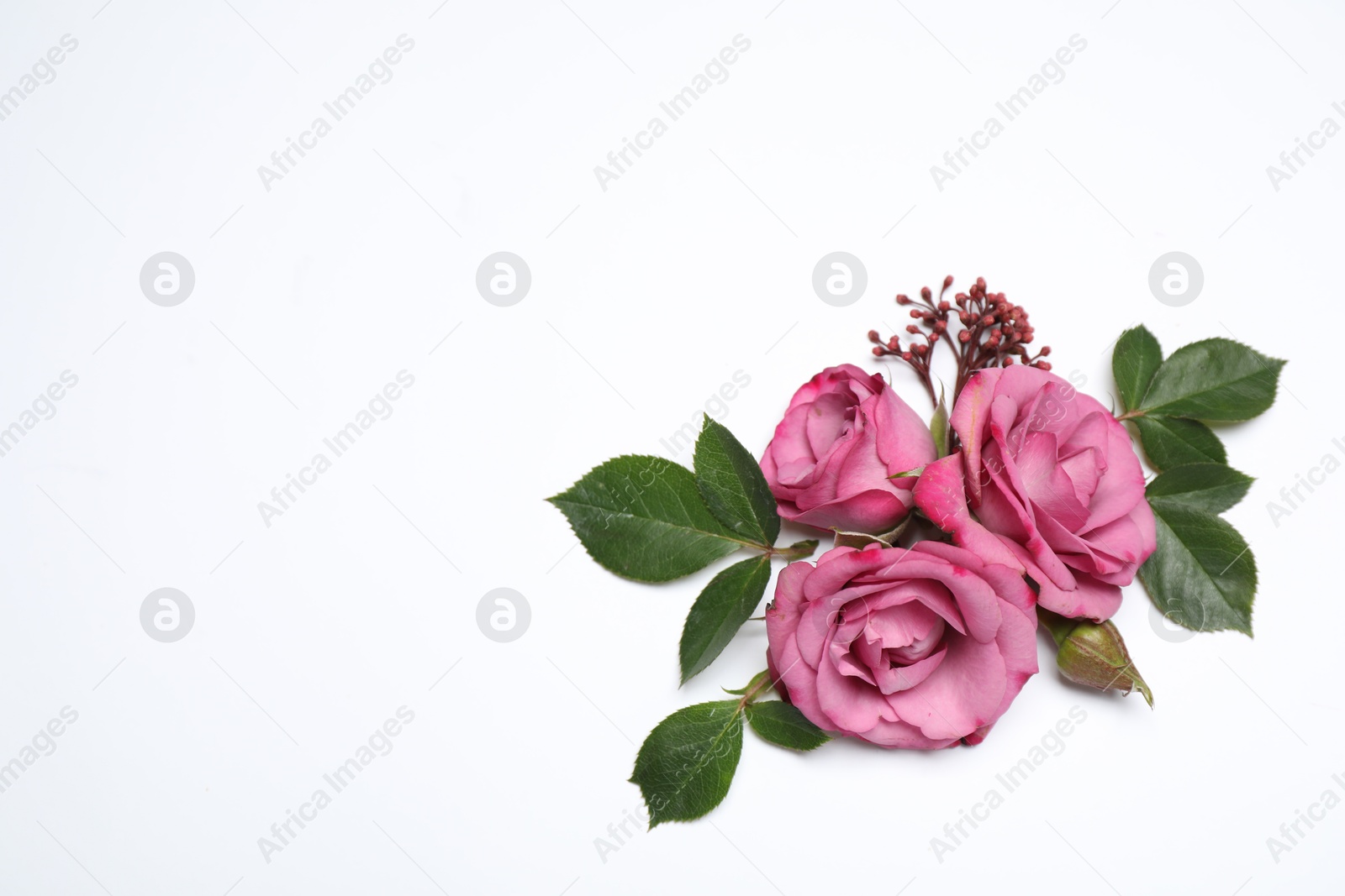 Photo of Beautiful floral composition with flowers on white background, flat lay. Space for text