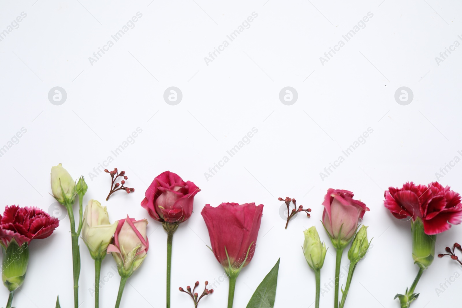 Photo of Beautiful floral composition with flowers on white background, flat lay. Space for text