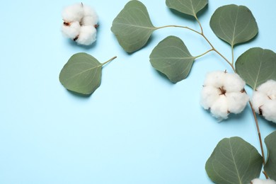 Photo of Beautiful floral composition with cotton flowers on light blue background, flat lay. Space for text