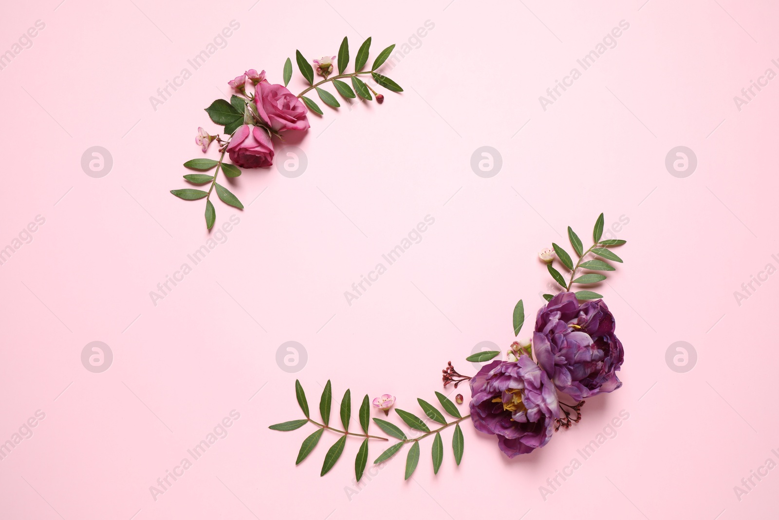 Photo of Floral composition with beautiful flowers on pink background, flat lay. Space for text