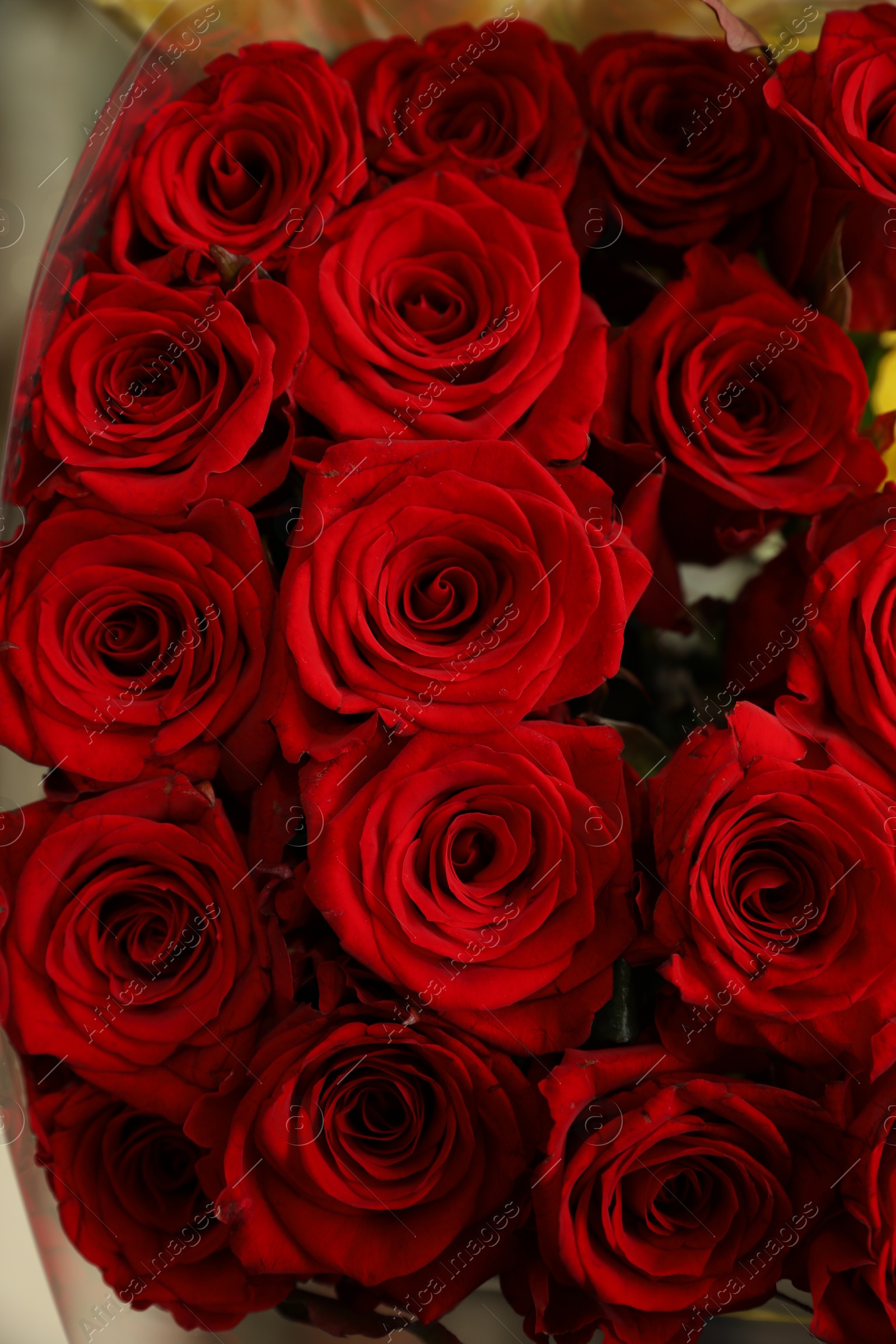 Photo of Beautiful bouquet of fresh roses, closeup. Floral decor