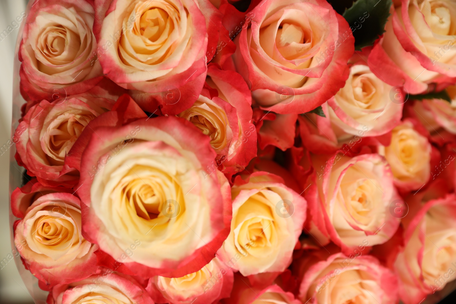 Photo of Beautiful bouquet of fresh roses, closeup. Floral decor