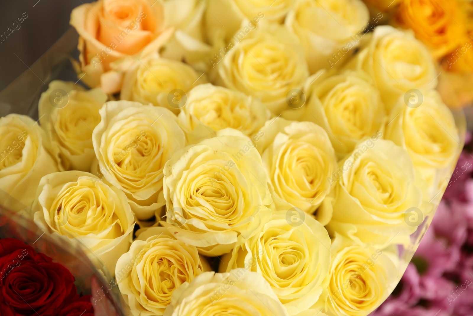 Photo of Beautiful bouquet of fresh roses, closeup. Floral decor