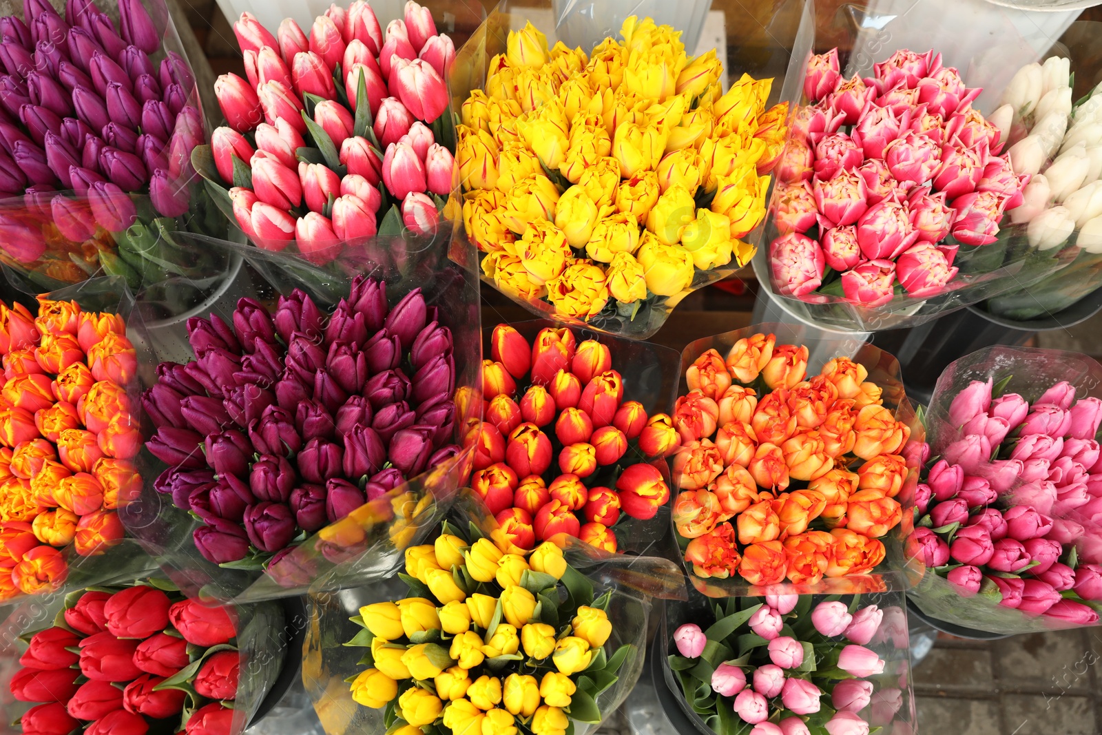 Photo of Assortment of bright flowers in shop, above view. Floral decor