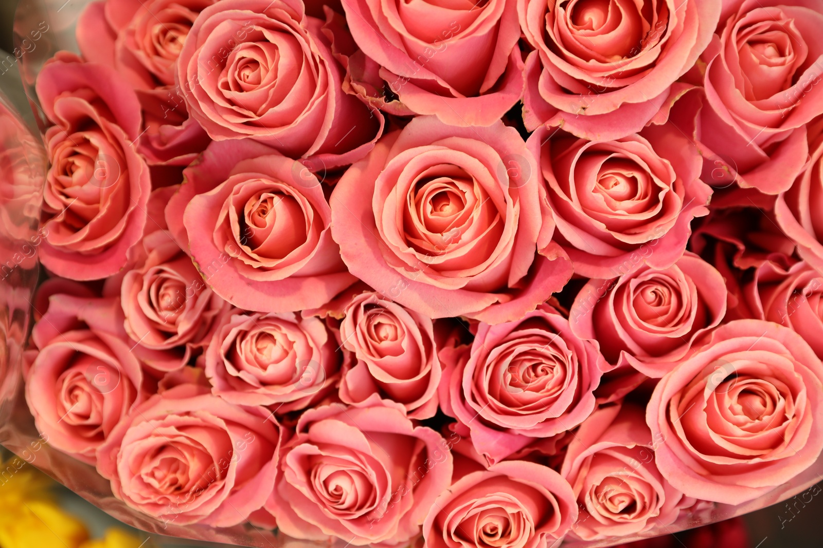 Photo of Beautiful bouquet of fresh roses, top view. Floral decor