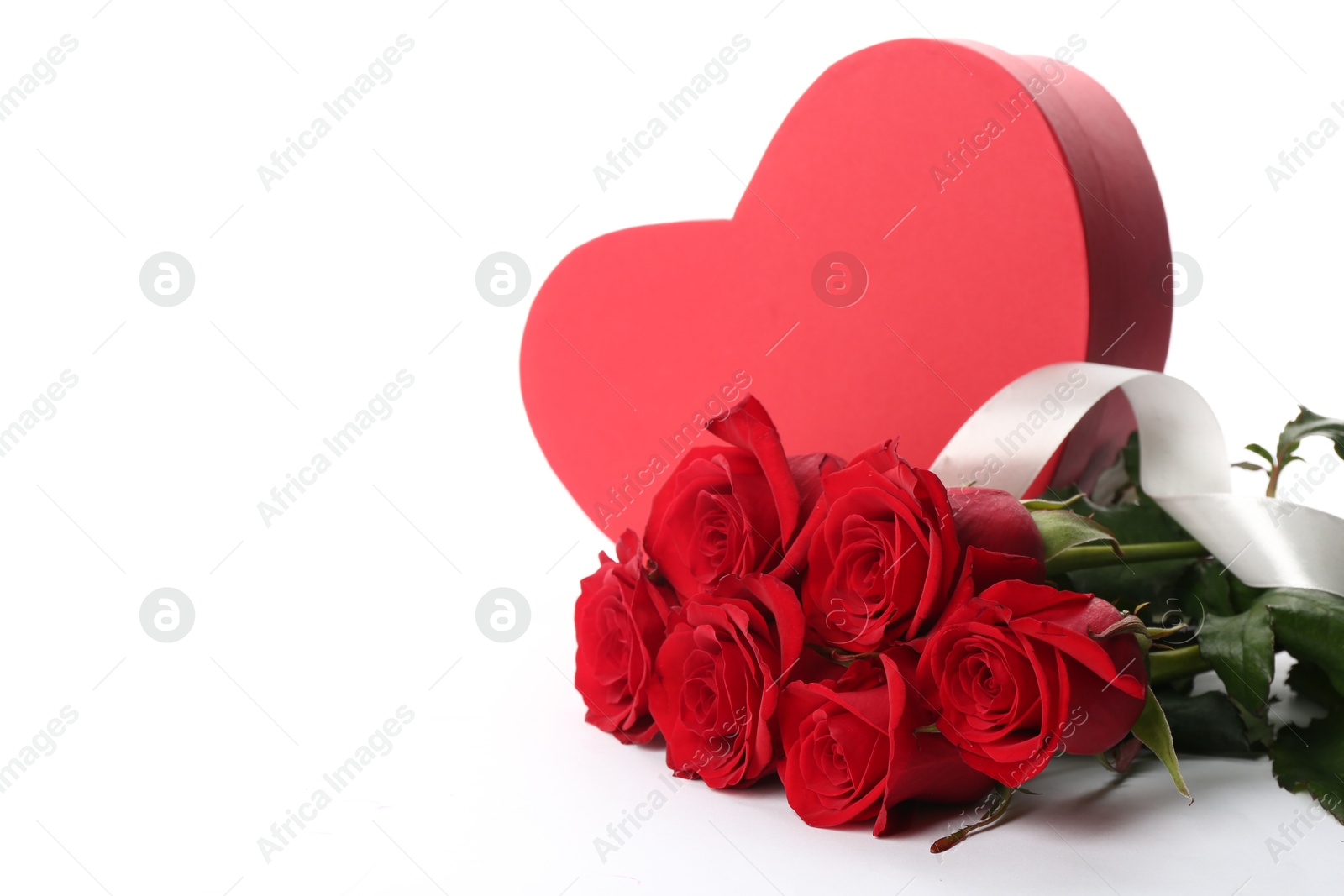 Photo of Beautiful red roses and gift box on white background. St. Valentine's day celebration