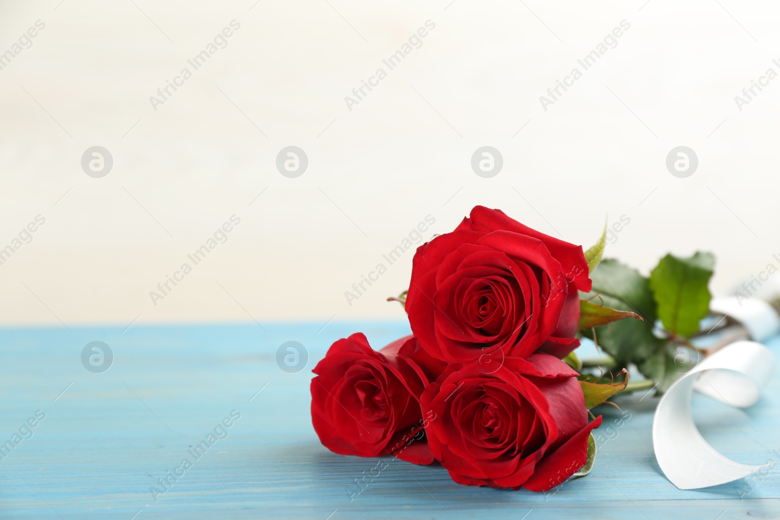 Photo of Beautiful red roses with white ribbon on light blue table, space for text. St. Valentine's day celebration