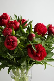 Photo of Beautiful bouquet of red peony flowers in glass vase on white background