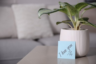 Photo of Paper note with handwritten words I Love You and houseplant on table indoors. Space for text