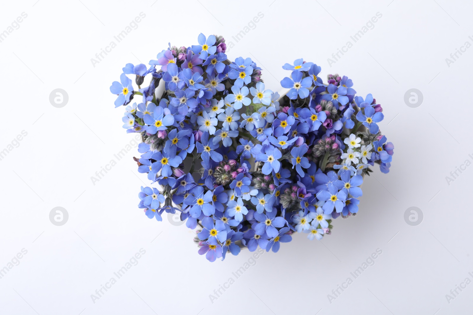 Photo of Heart of beautiful blue forget-me-not flowers isolated on white, top view