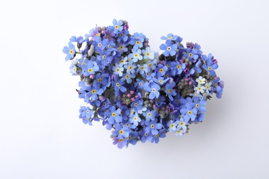 Photo of Heart of beautiful blue forget-me-not flowers isolated on white, top view